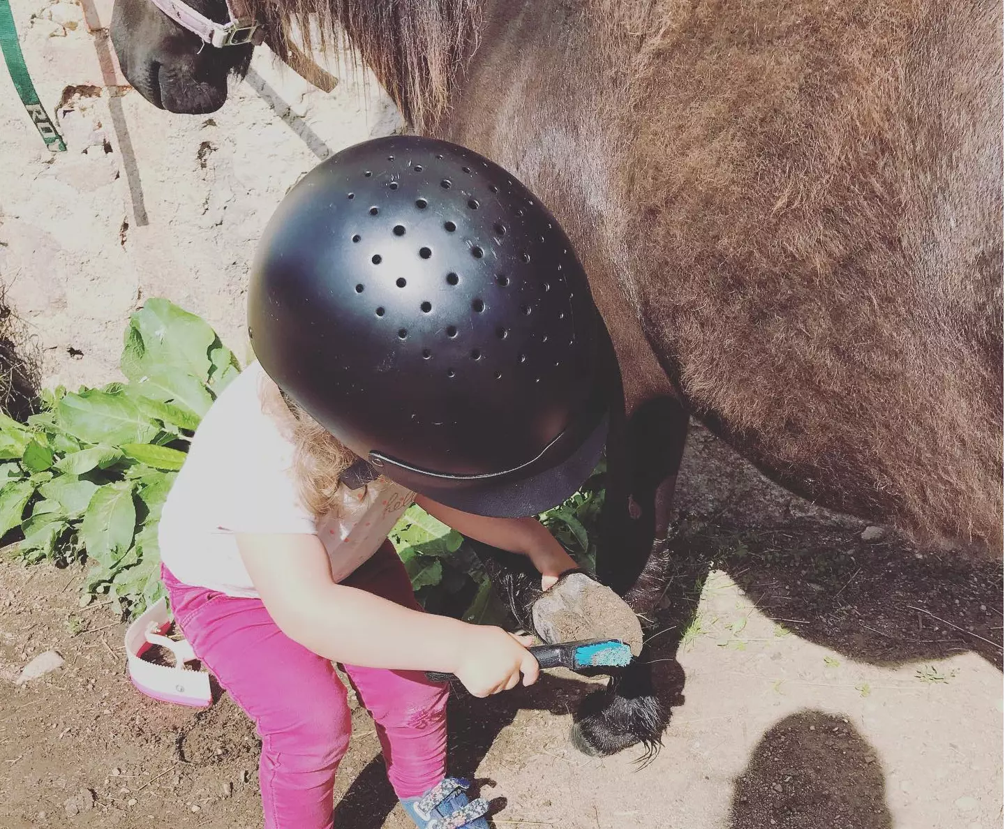 Enfant cure les pieds d'un poneys
