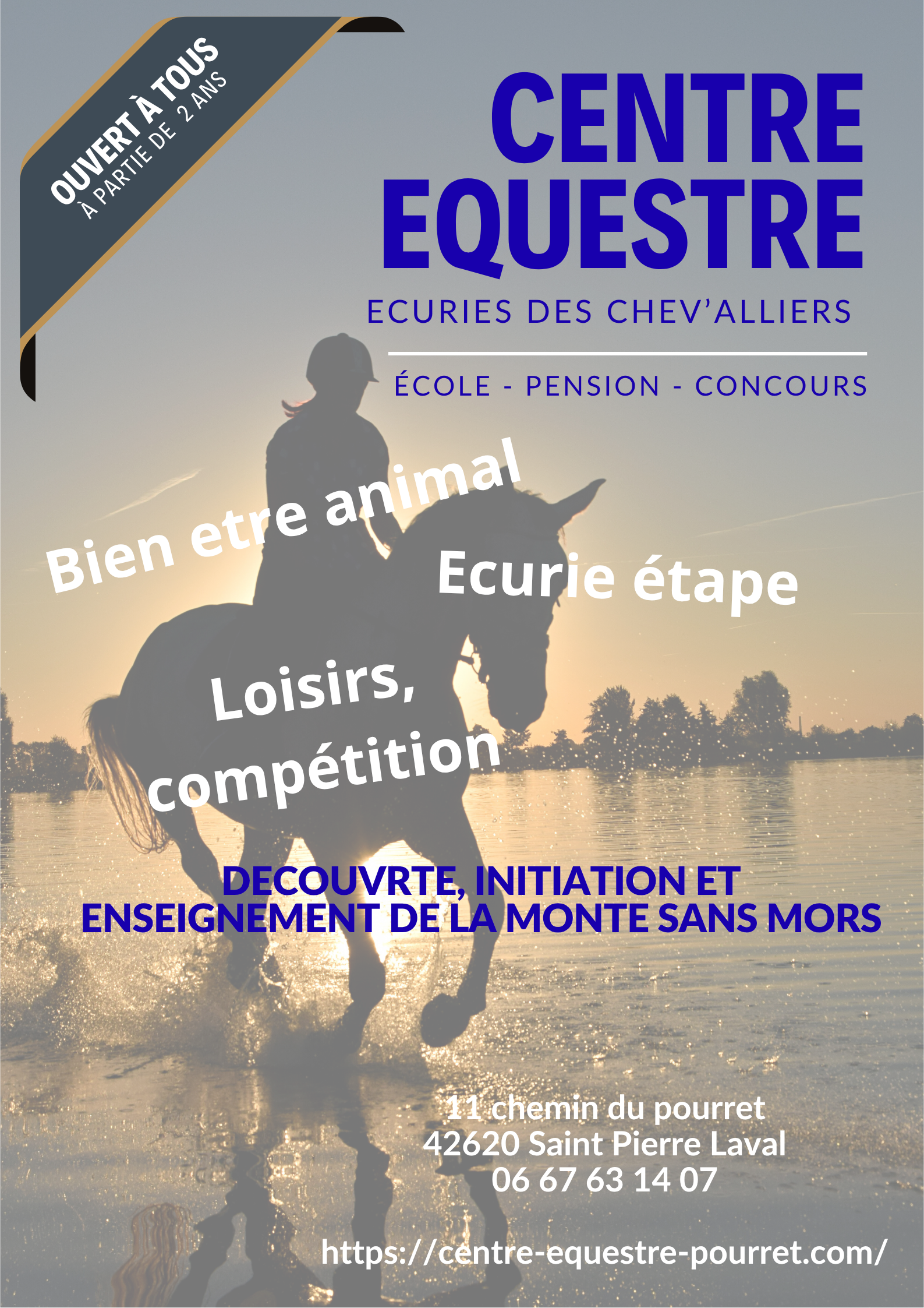 animations et cours