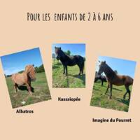 Les poneys pour enfants de 2 à 6 ans