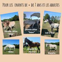 Les poneys et chevaux pour les enfants de + de 6 ans et les adultes